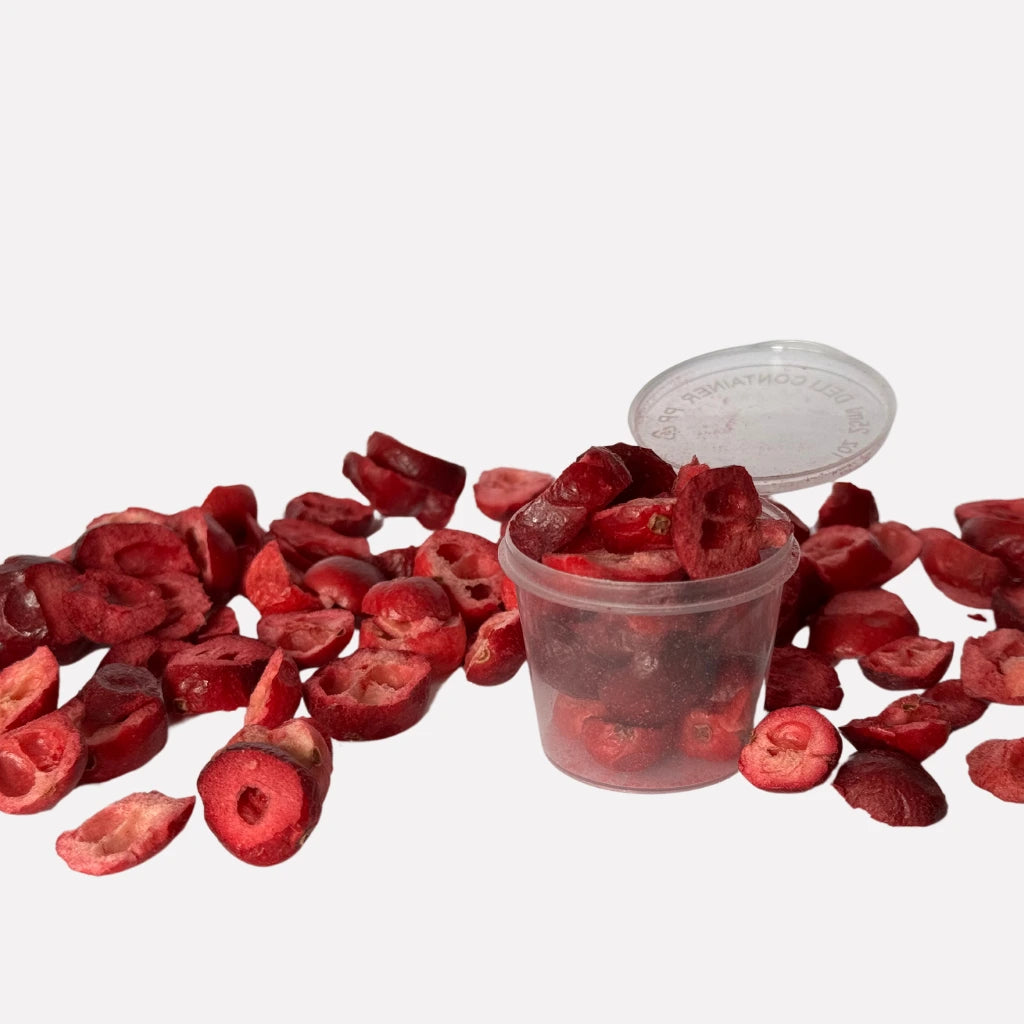 Pack de arándano liofilizado para disfrutar de su sabor fresco y nutritivo